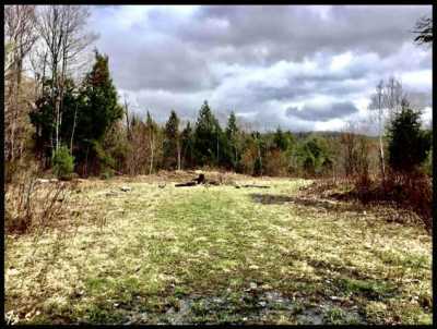 Residential Land For Sale in Bradford, New Hampshire