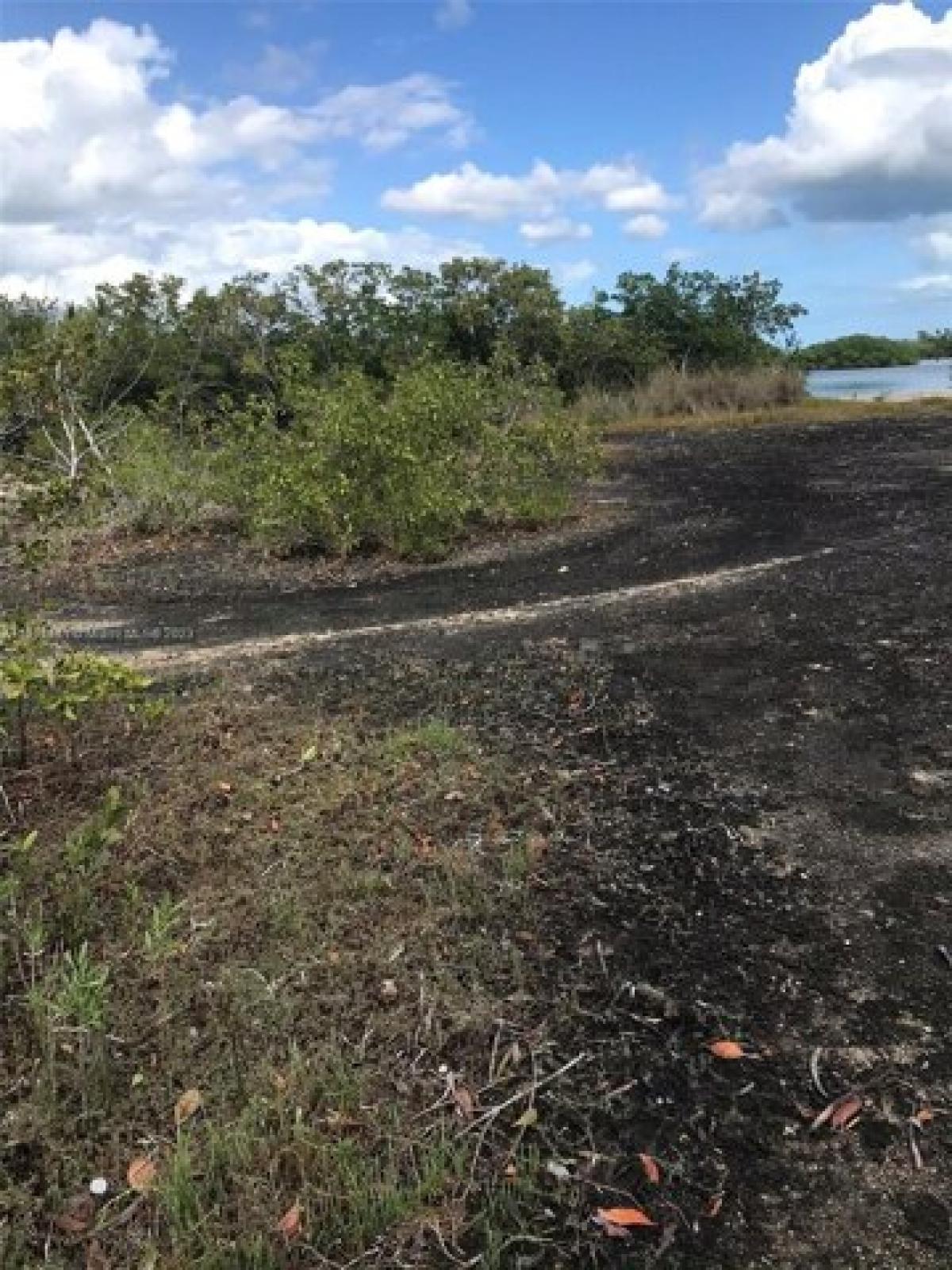 Picture of Residential Land For Sale in Islamorada, Florida, United States