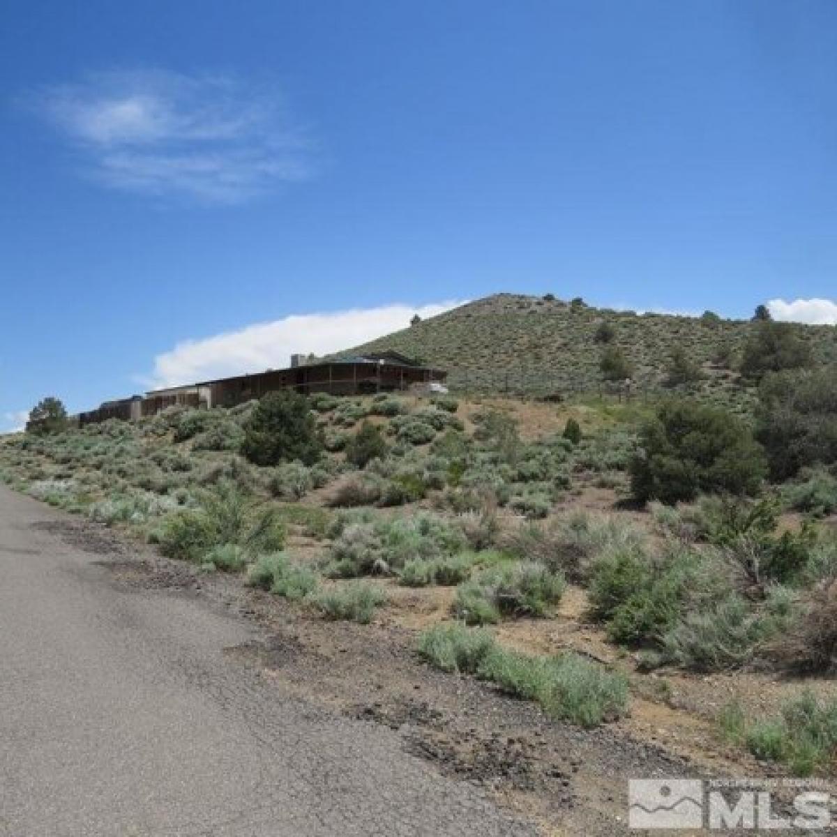 Picture of Home For Sale in Wellington, Nevada, United States