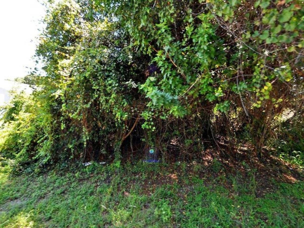 Picture of Residential Land For Sale in Fort Pierce, Florida, United States