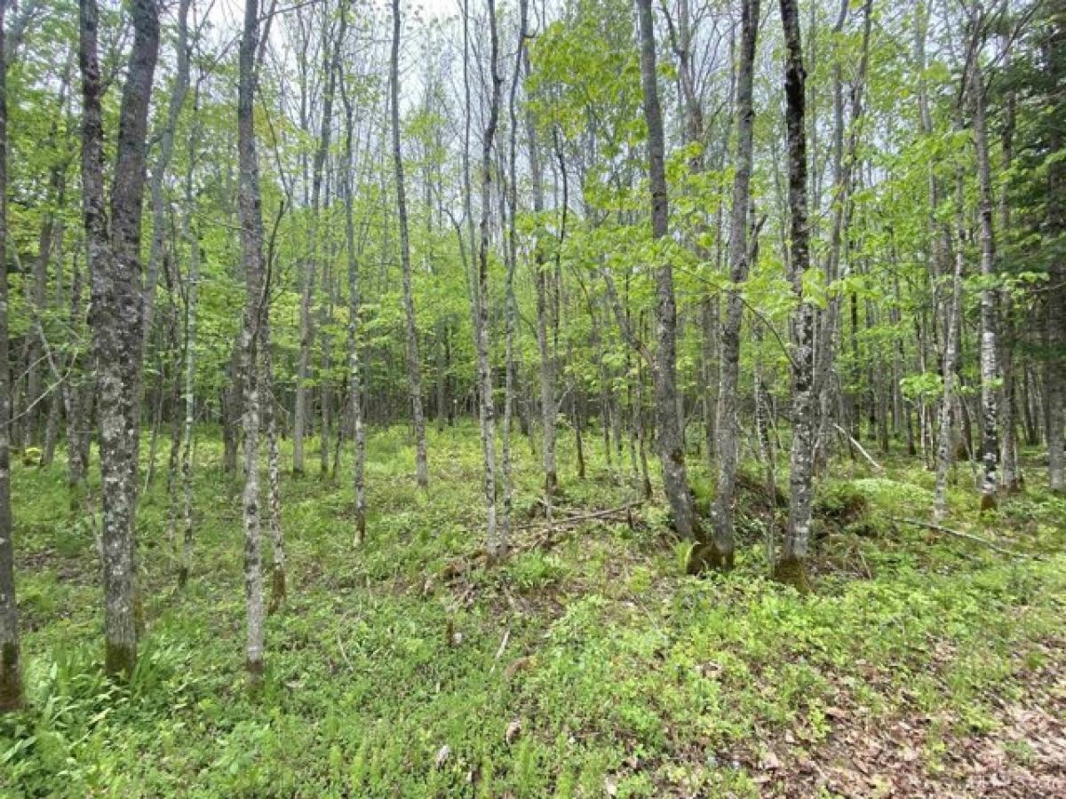 Picture of Residential Land For Sale in Marenisco, Michigan, United States