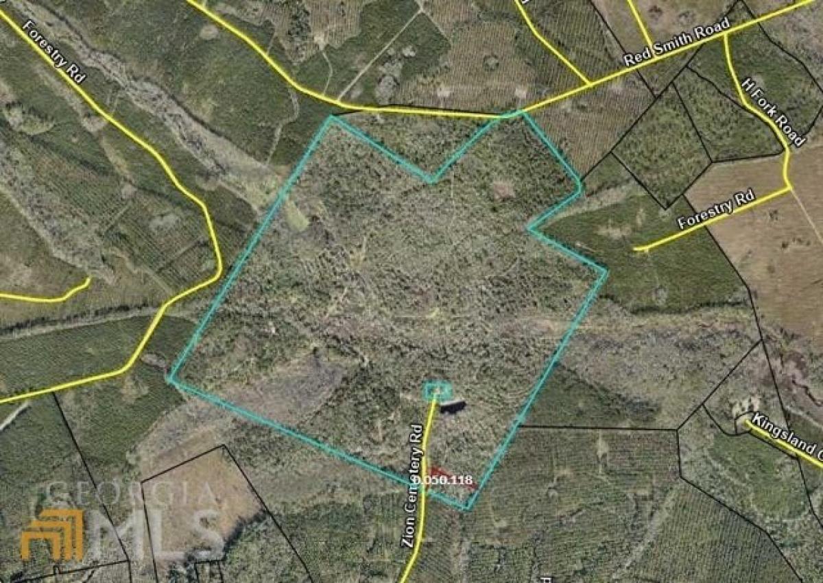 Picture of Residential Land For Sale in Kingsland, Georgia, United States