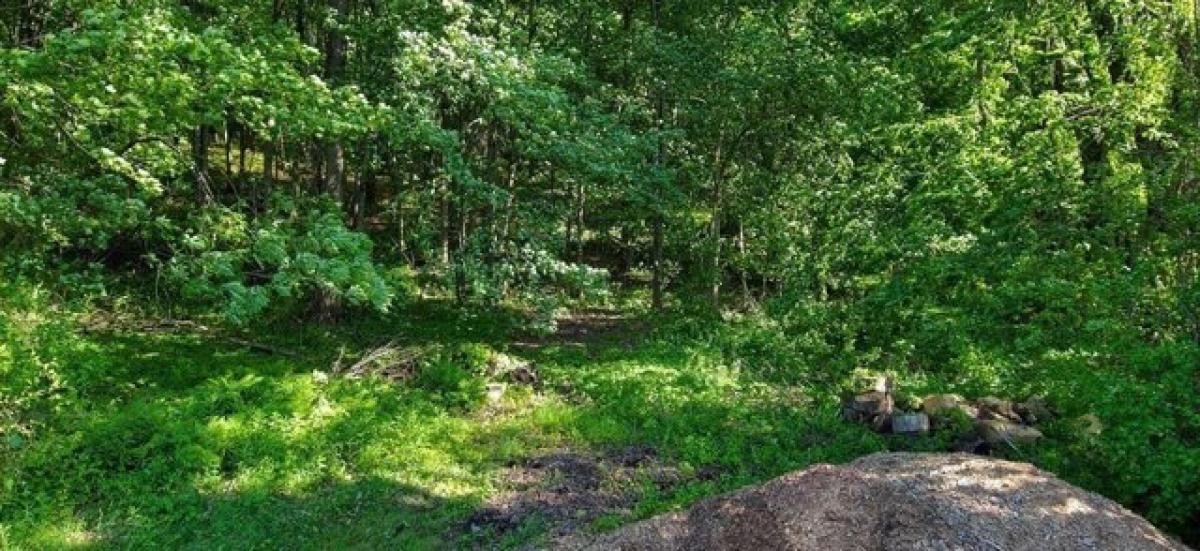 Picture of Residential Land For Sale in Easthampton, Massachusetts, United States