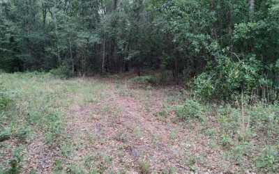 Residential Land For Sale in Live Oak, Florida