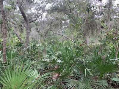 Residential Land For Sale in Debary, Florida