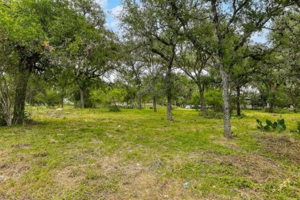 Picture of Residential Land For Sale in San Marcos, Texas, United States