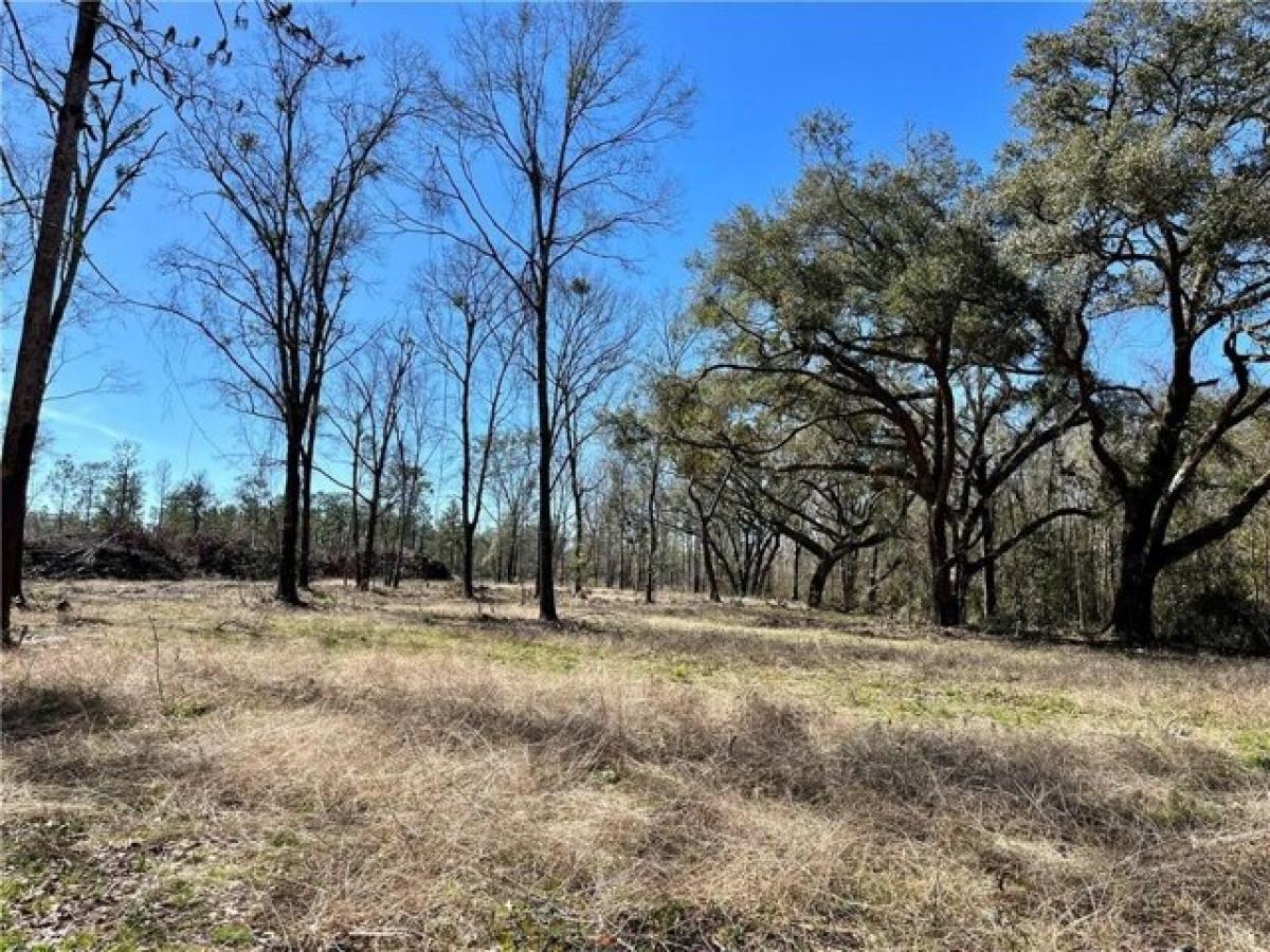 Picture of Residential Land For Sale in Theodore, Alabama, United States