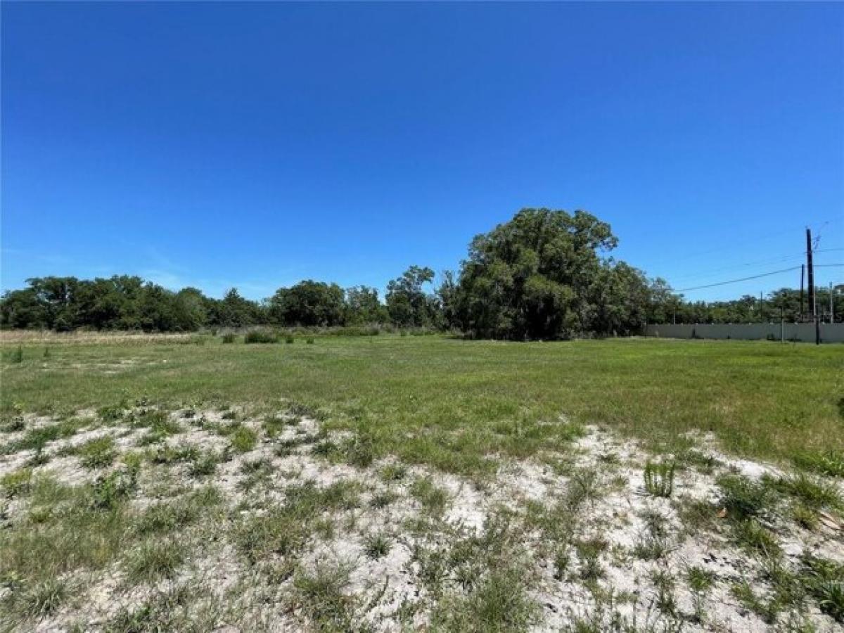 Picture of Residential Land For Sale in Lutz, Florida, United States