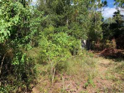 Residential Land For Sale in Navarre, Florida