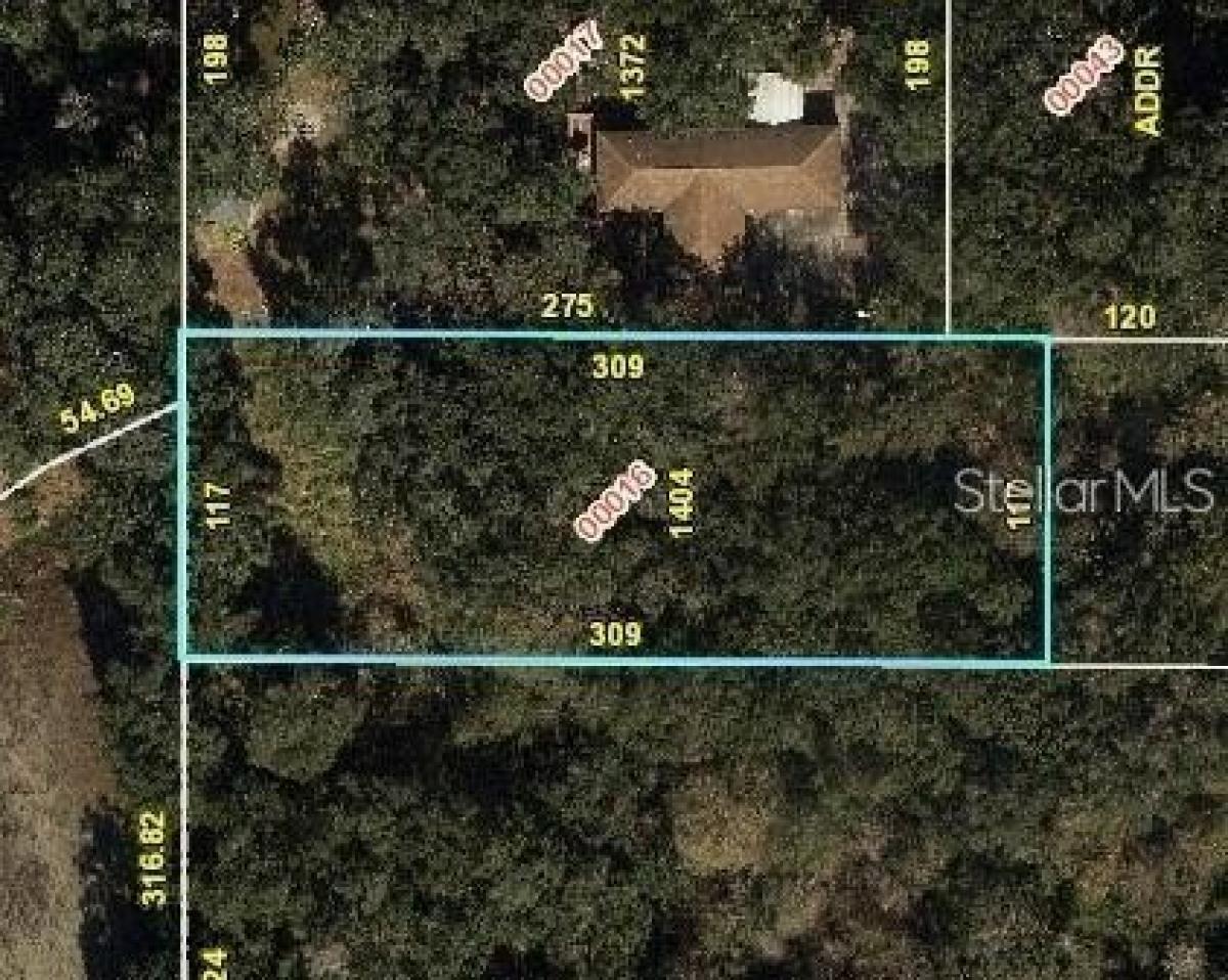 Picture of Residential Land For Sale in Winter Garden, Florida, United States