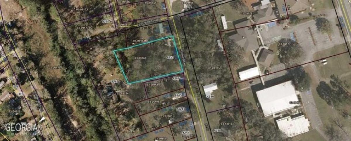 Picture of Residential Land For Sale in Brunswick, Georgia, United States