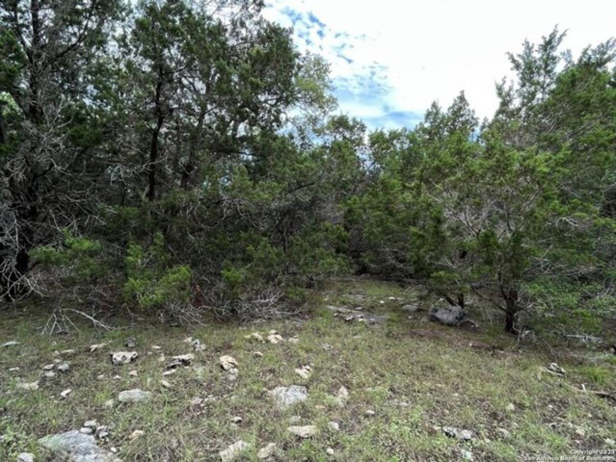 Picture of Residential Land For Sale in New Braunfels, Texas, United States