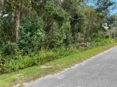 Residential Land For Sale in Summerfield, Florida