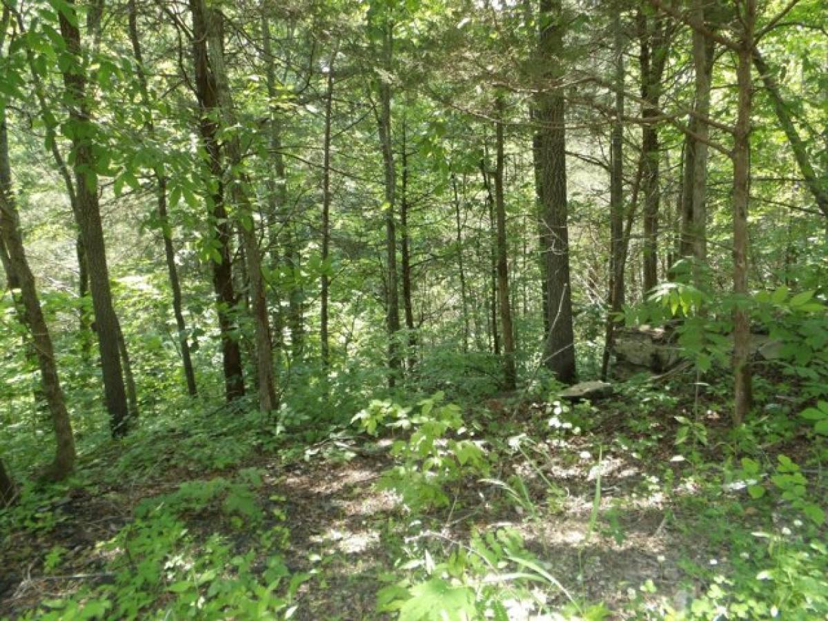 Picture of Residential Land For Sale in Celina, Tennessee, United States
