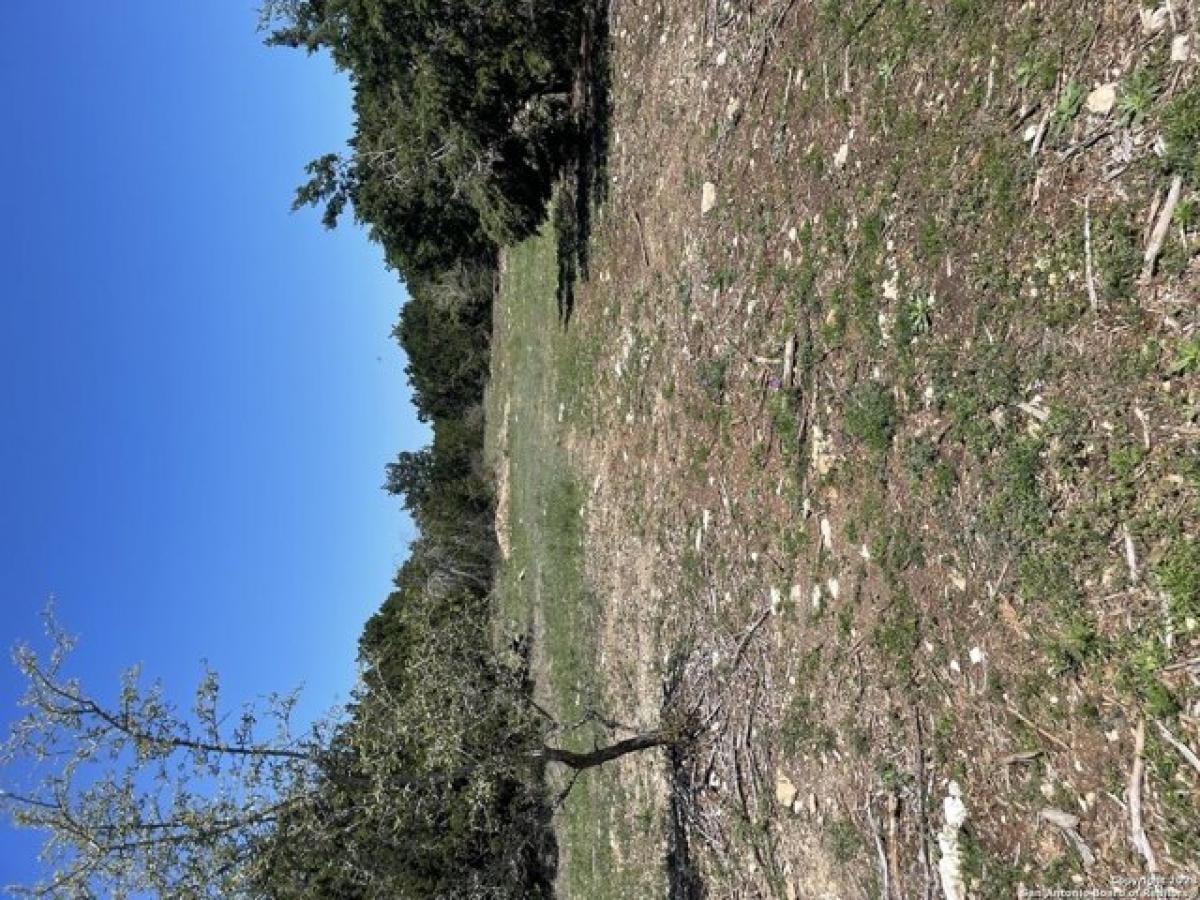 Picture of Residential Land For Sale in New Braunfels, Texas, United States