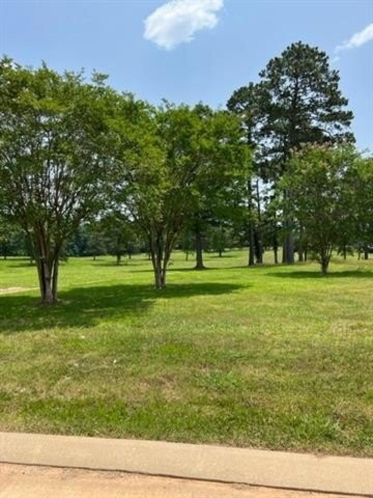 Picture of Residential Land For Sale in Woodworth, Louisiana, United States