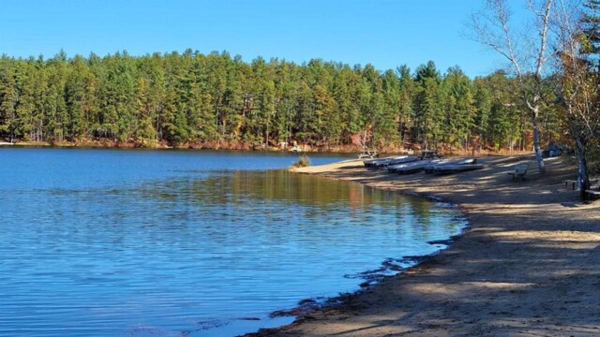 Picture of Residential Land For Sale in Tamworth, New Hampshire, United States