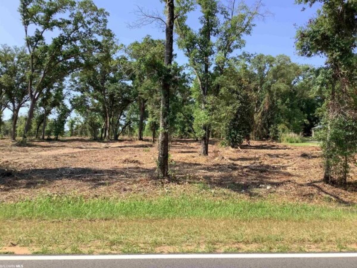 Picture of Residential Land For Sale in Foley, Alabama, United States