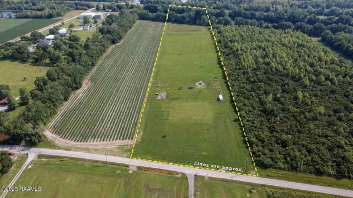 Picture of Residential Land For Sale in Franklin, Louisiana, United States