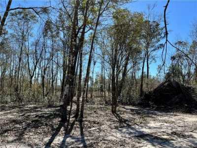 Residential Land For Sale in Theodore, Alabama