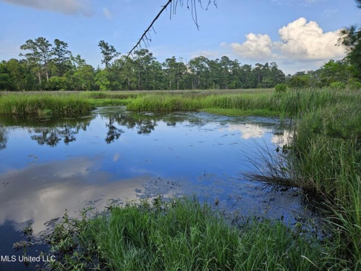 Picture of Residential Land For Sale in Bay Saint Louis, Mississippi, United States