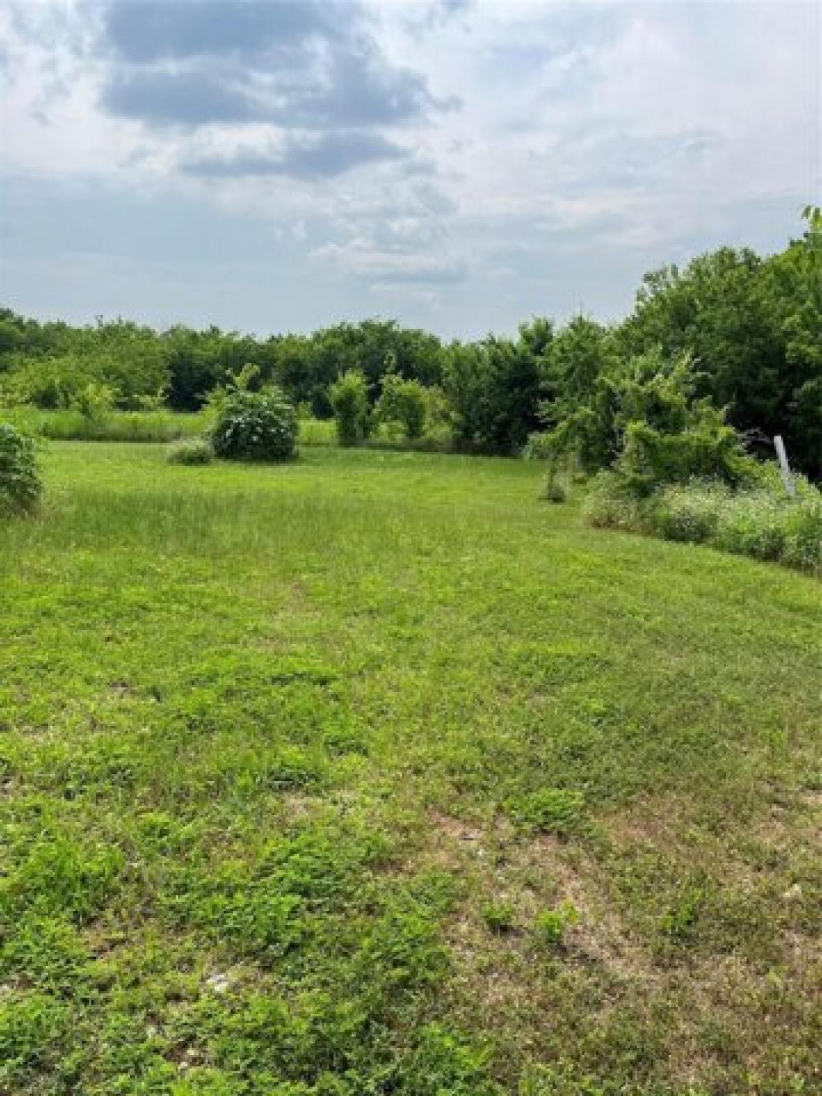 Picture of Home For Sale in Quinlan, Texas, United States