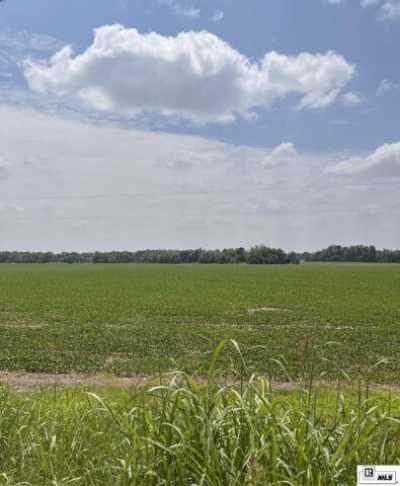 Residential Land For Sale in Jonesboro, Louisiana