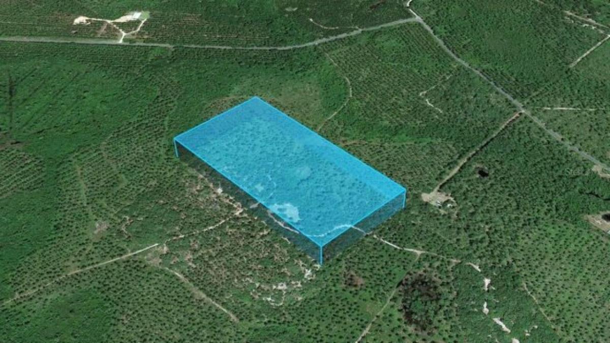 Picture of Residential Land For Sale in Fort Mccoy, Florida, United States