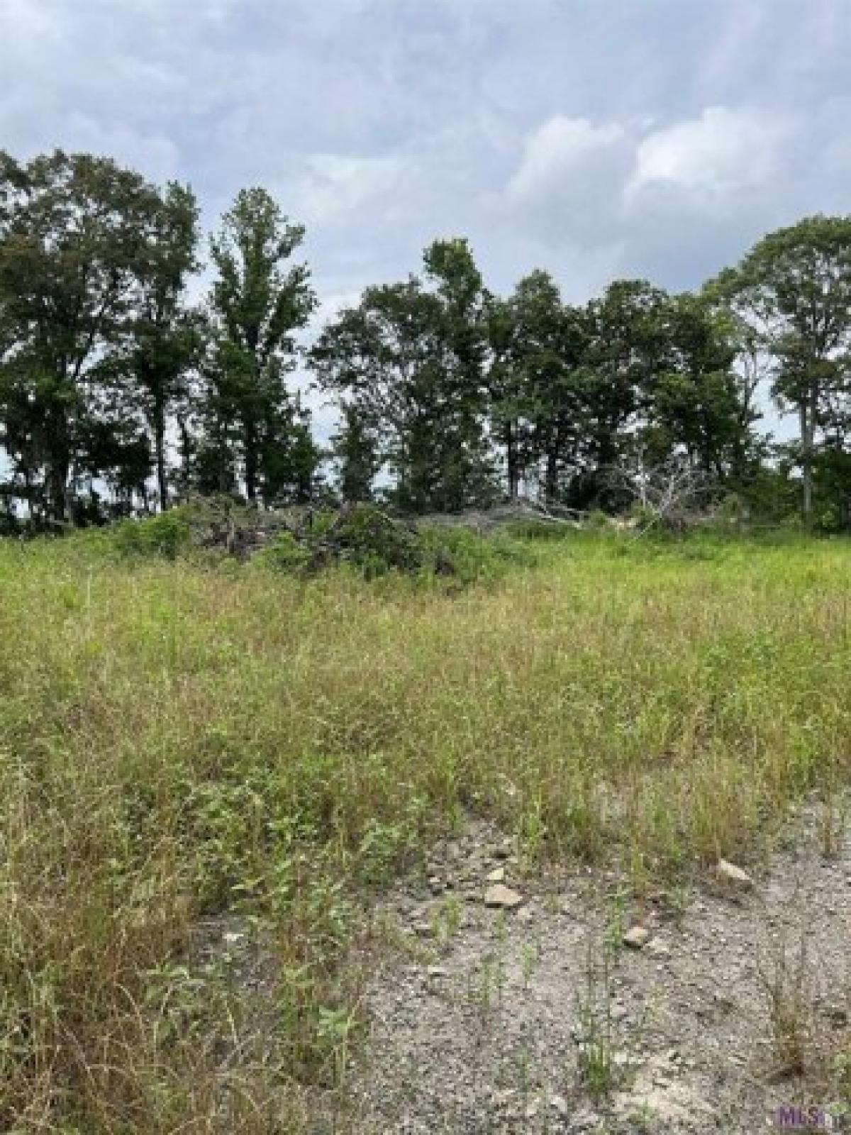 Picture of Residential Land For Sale in Baker, Louisiana, United States