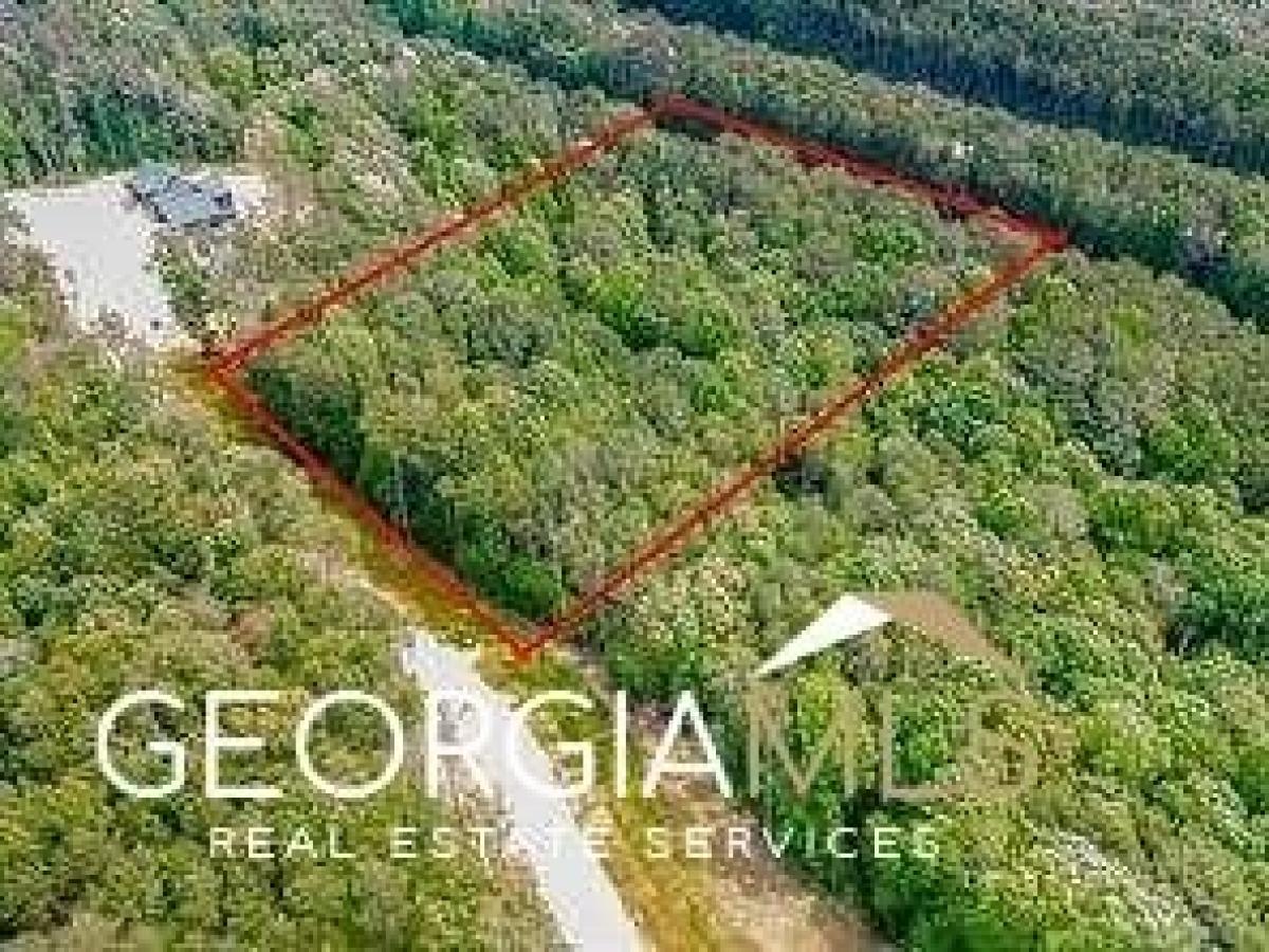 Picture of Residential Land For Sale in Ball Ground, Georgia, United States