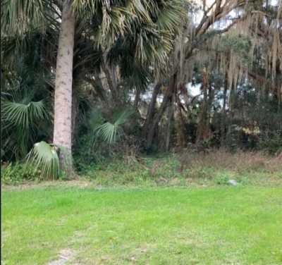 Residential Land For Sale in Hawthorne, Florida