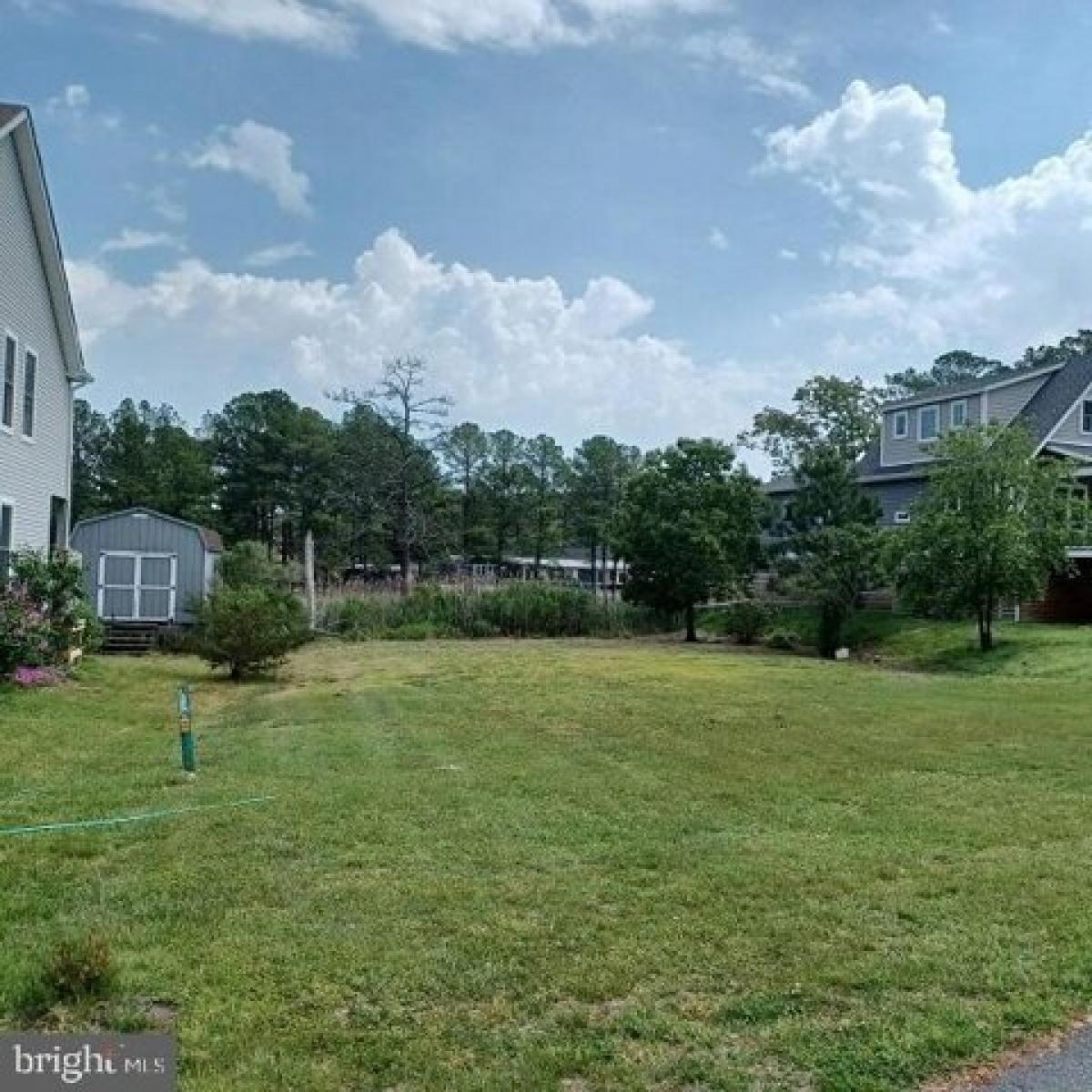 Picture of Residential Land For Sale in Millsboro, Delaware, United States