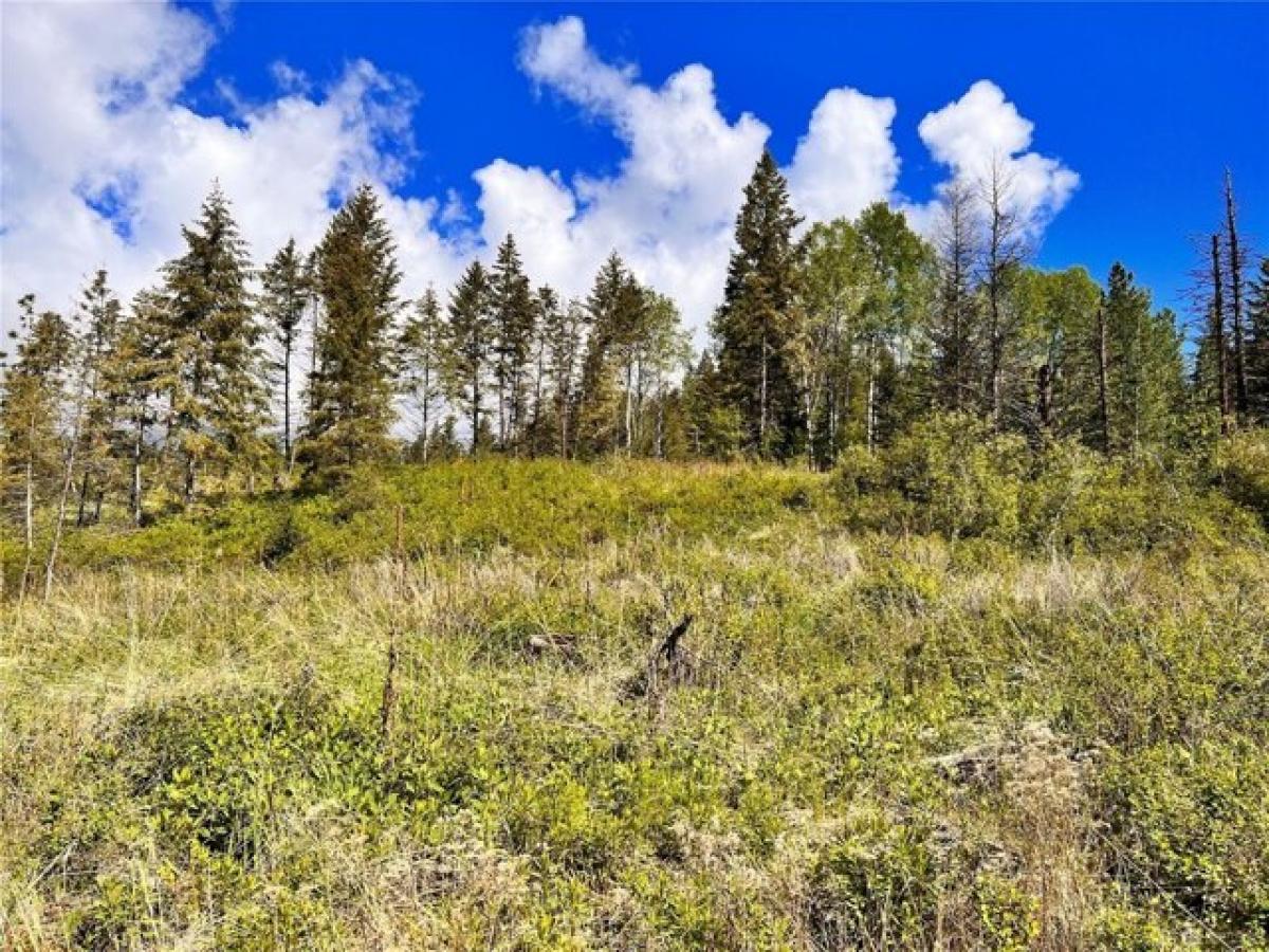 Picture of Residential Land For Sale in Curlew, Washington, United States