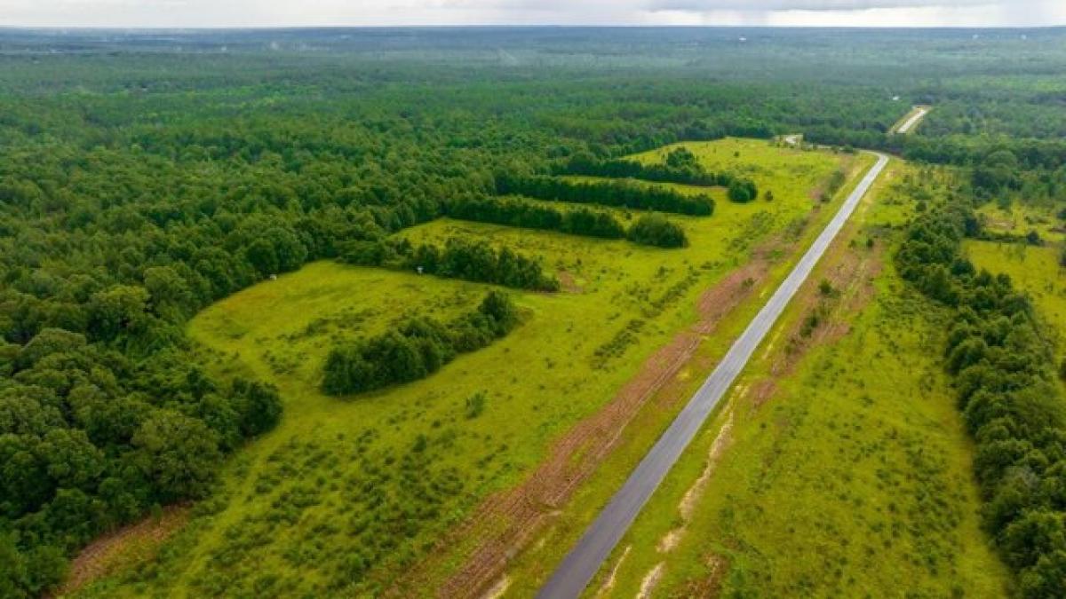 Picture of Residential Land For Sale in Baker, Florida, United States