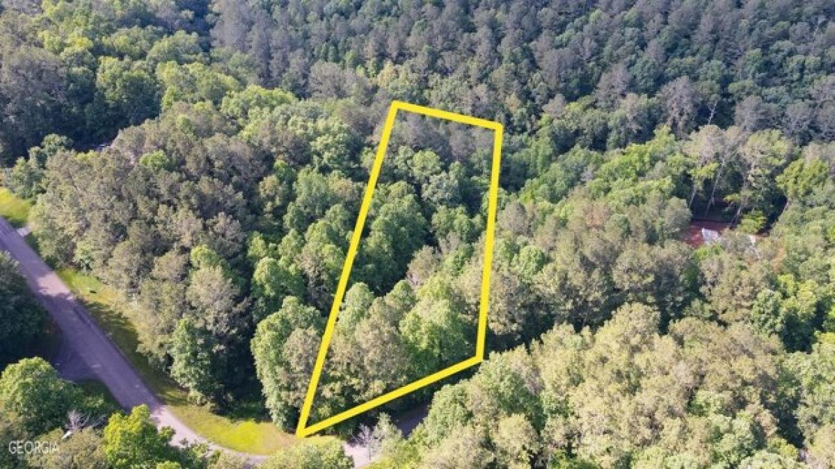 Picture of Residential Land For Sale in Talking Rock, Georgia, United States