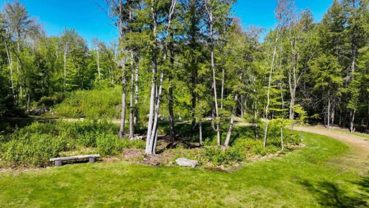 Picture of Residential Land For Sale in Sunapee, New Hampshire, United States