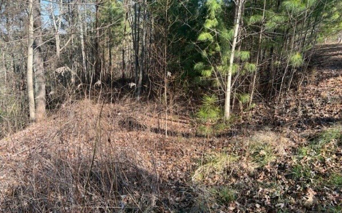 Picture of Residential Land For Sale in Talking Rock, Georgia, United States