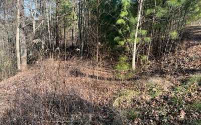 Residential Land For Sale in 