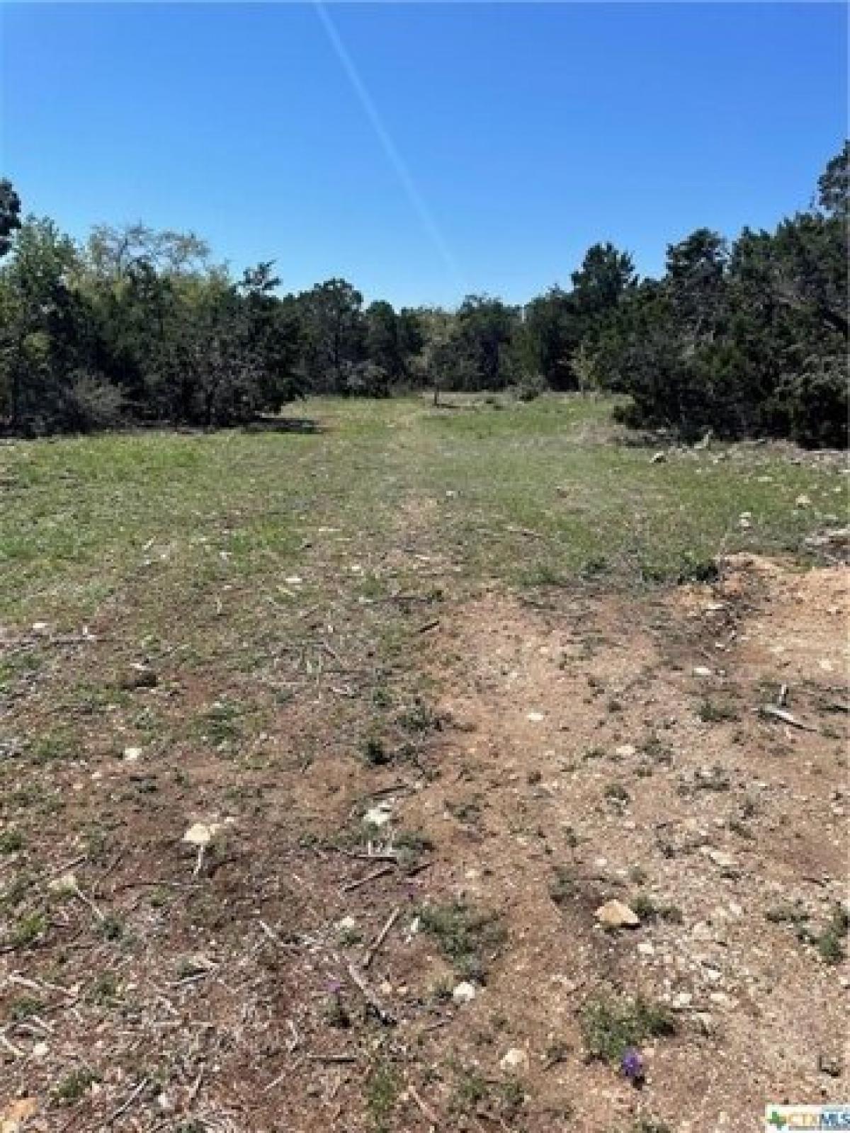 Picture of Residential Land For Sale in New Braunfels, Texas, United States