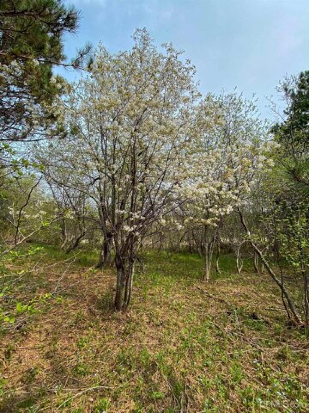 Picture of Residential Land For Sale in Mohawk, Michigan, United States