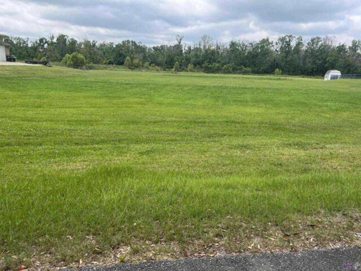 Picture of Residential Land For Sale in Saint Amant, Louisiana, United States