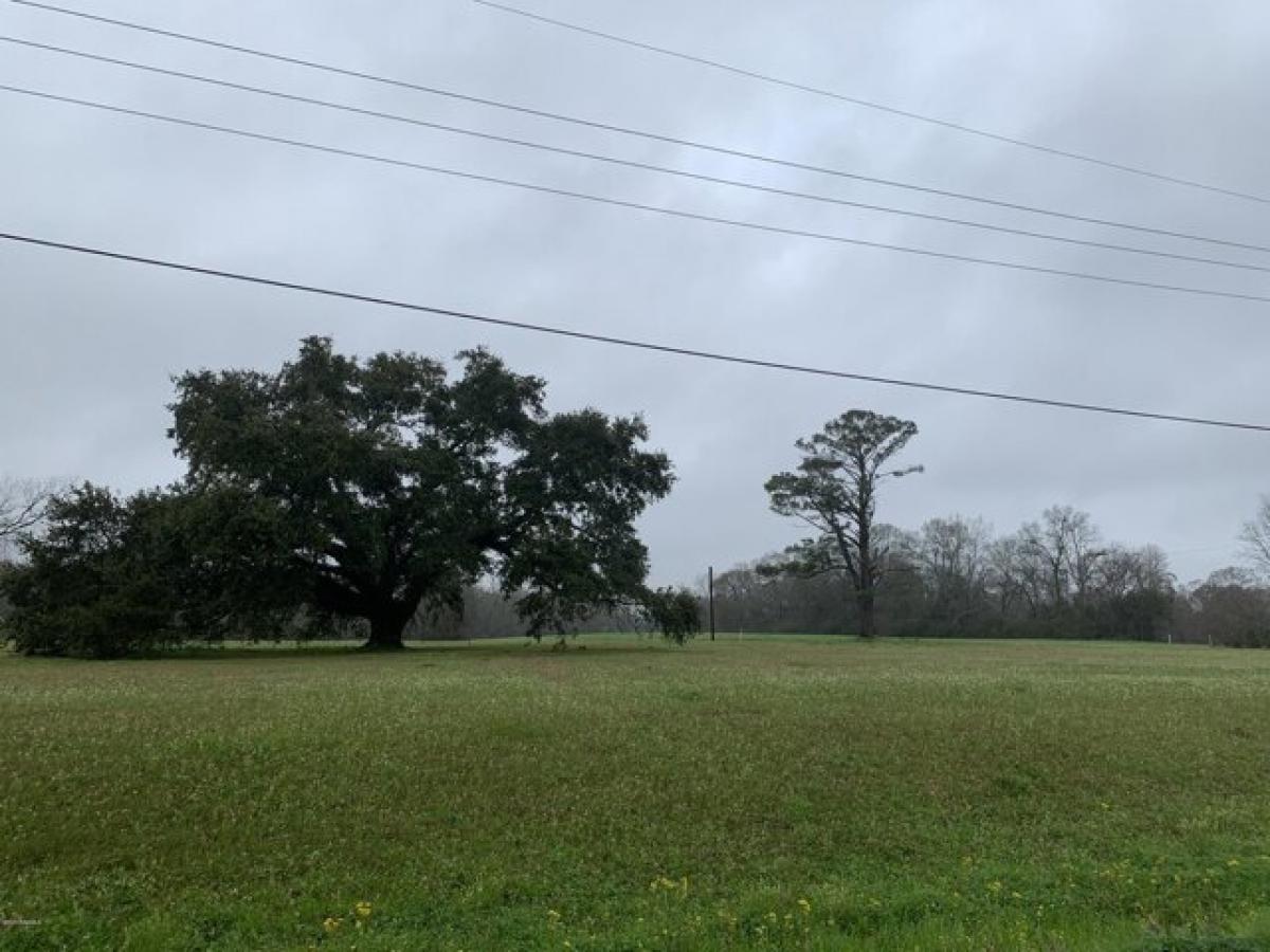 Picture of Residential Land For Sale in Opelousas, Louisiana, United States