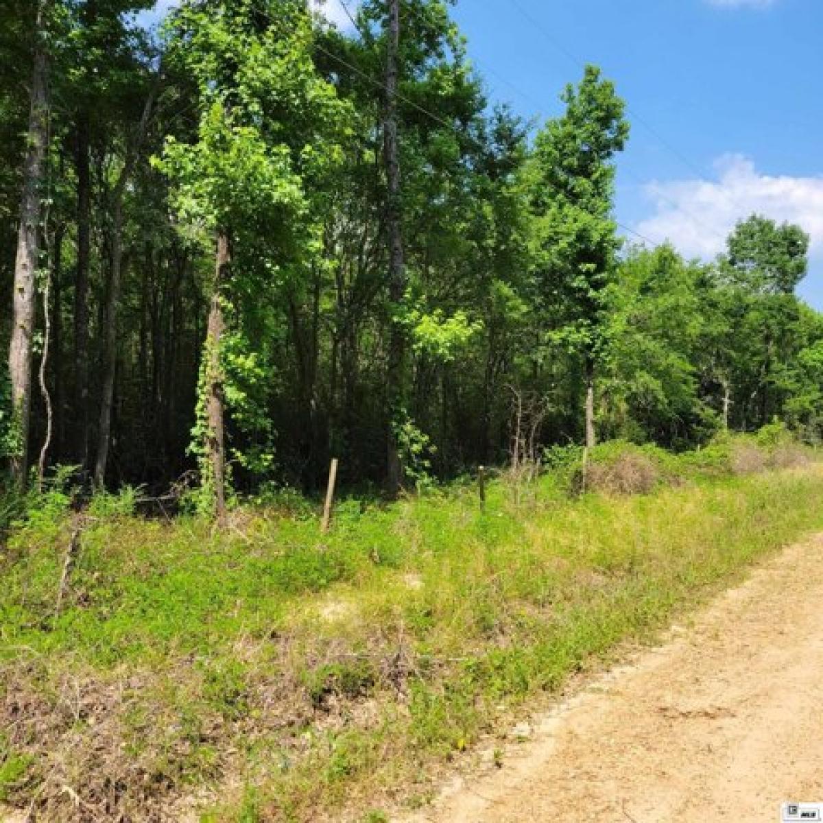 Picture of Residential Land For Sale in Winnsboro, Louisiana, United States