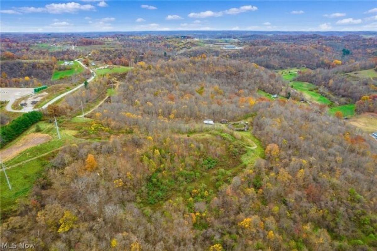 Picture of Home For Sale in Summerfield, Ohio, United States