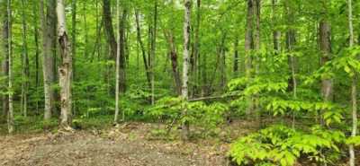 Residential Land For Sale in Stoddard, New Hampshire