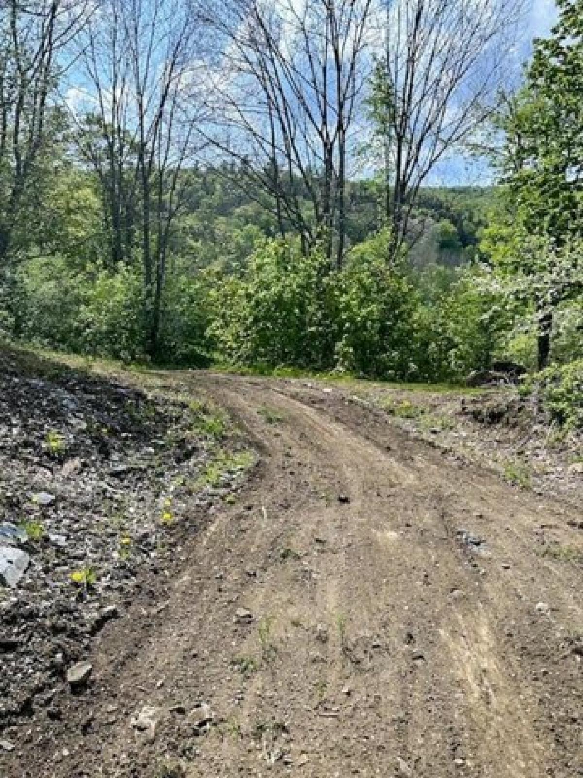 Picture of Residential Land For Sale in Roxbury, Vermont, United States