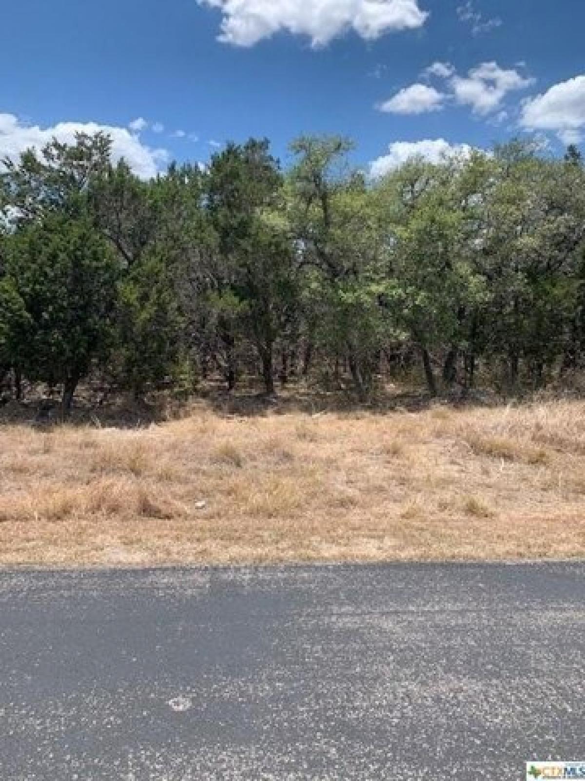 Picture of Residential Land For Sale in New Braunfels, Texas, United States