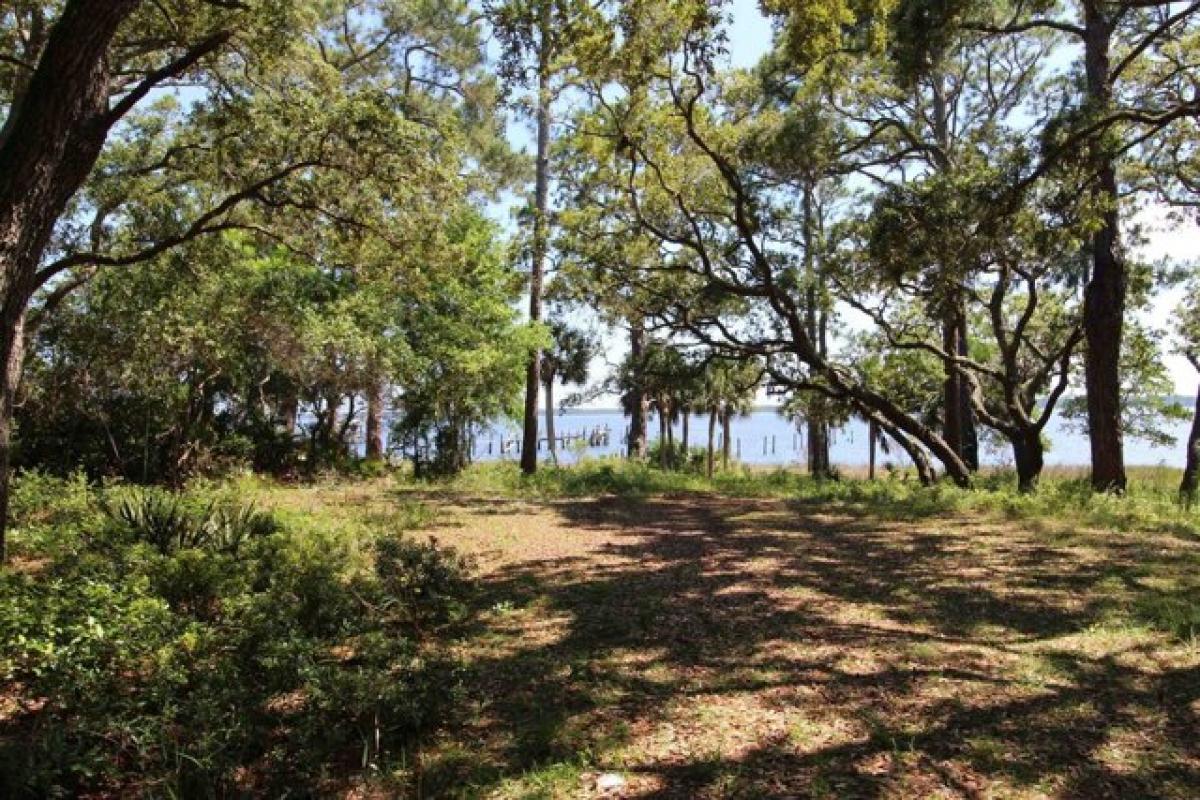 Picture of Residential Land For Sale in Panacea, Florida, United States