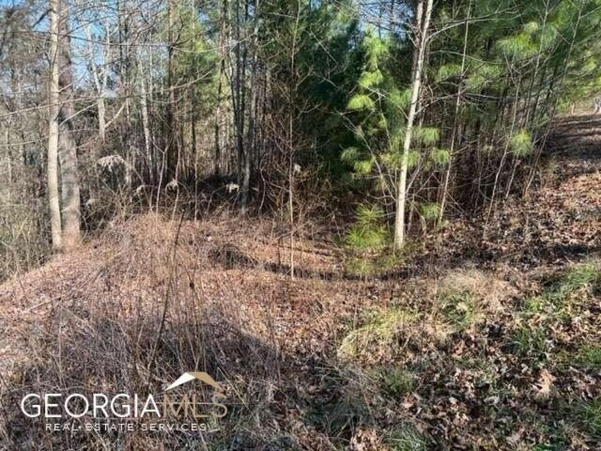 Picture of Residential Land For Sale in Talking Rock, Georgia, United States