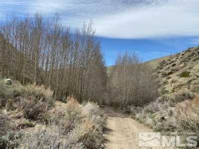 Residential Land For Sale in Wellington, Nevada